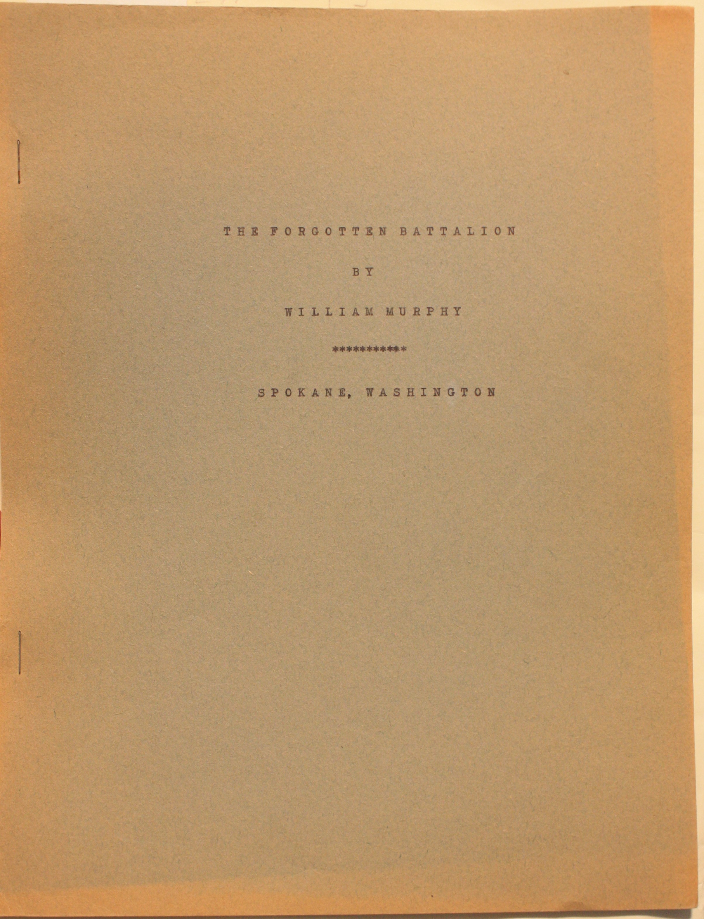 Typescript for The Forgotten Battalion