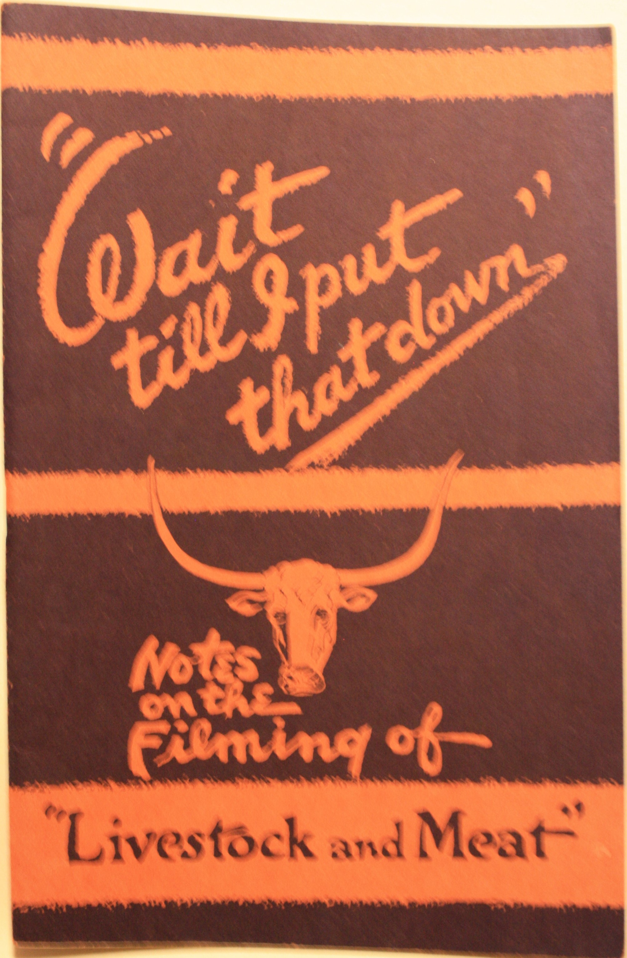 Wait till I put that down, Notes on the Filming of Livestock and Meat