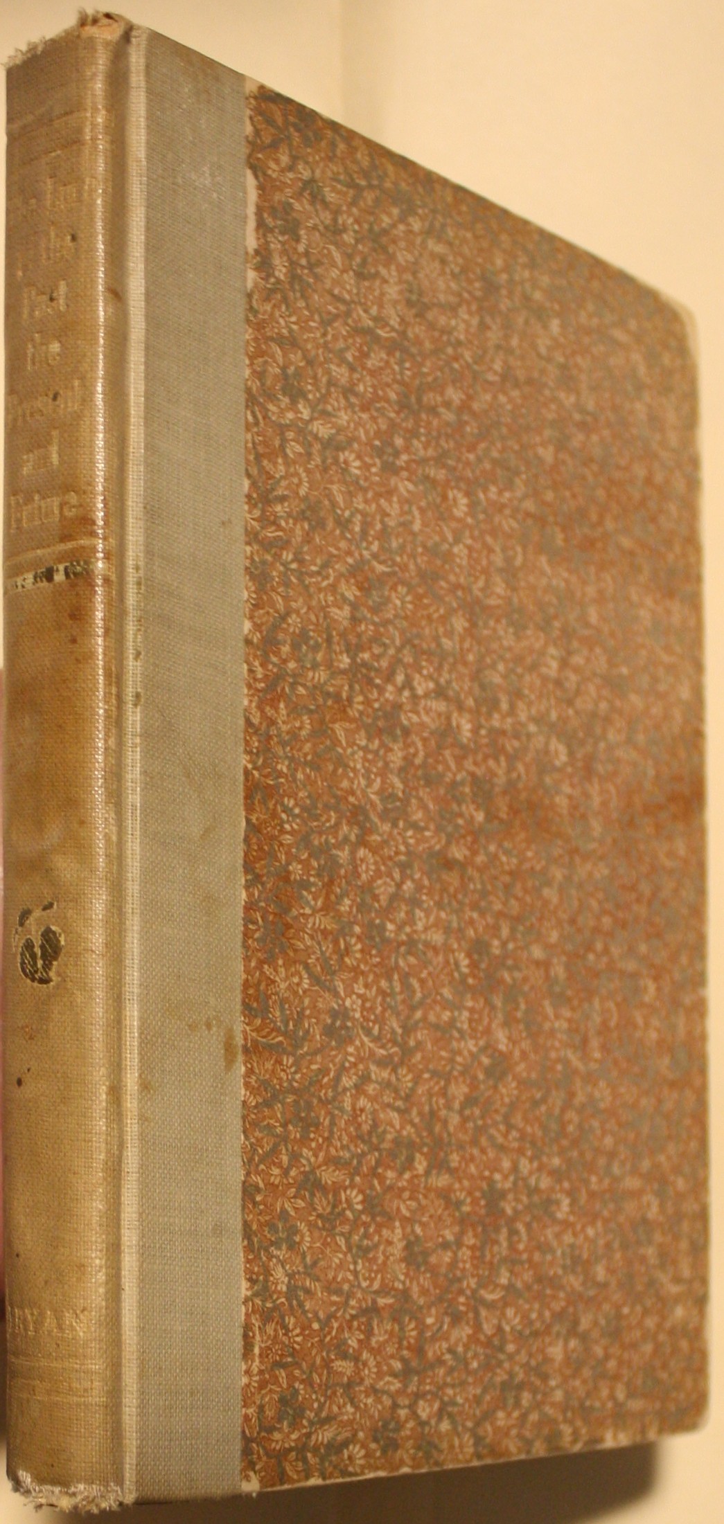 The Lure Of The Past The Present And Future Historical And Descriptive Observations And Impressions Of The Past Present And Future Illustrated