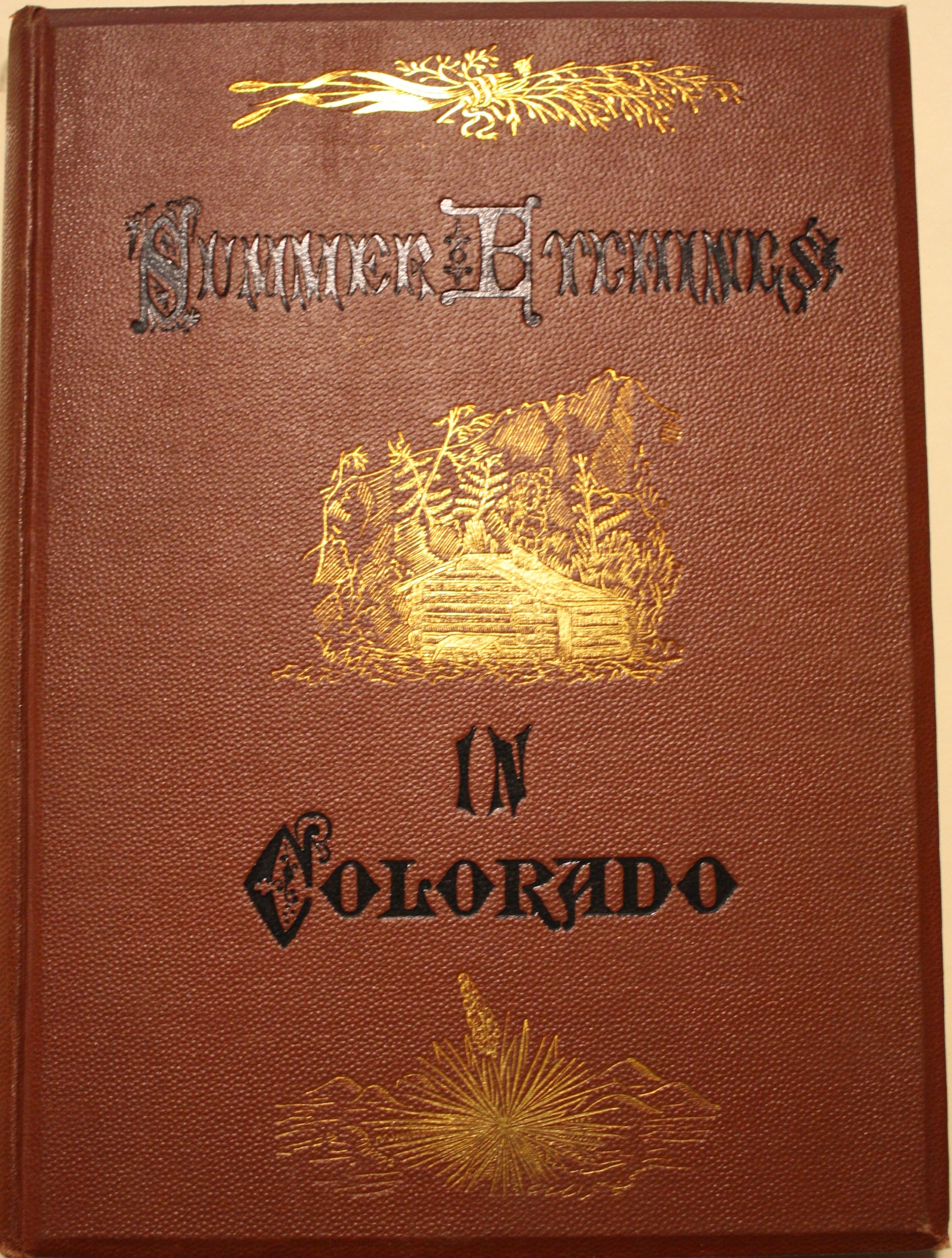 Summer Etchings in Colorado