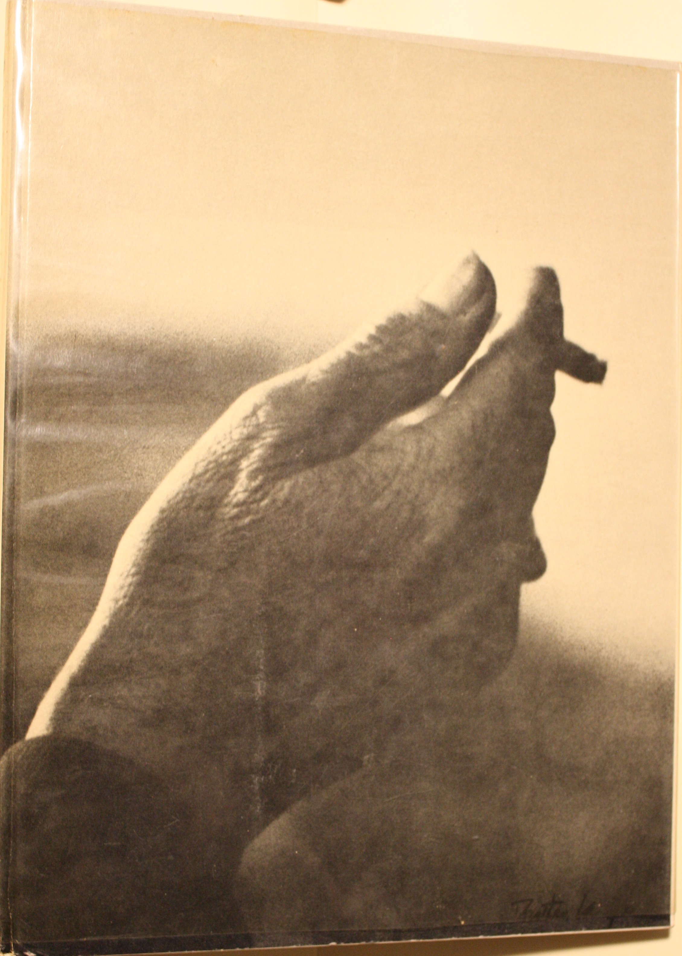 Paper Talk Illustrated Letters of Charles M. Russell