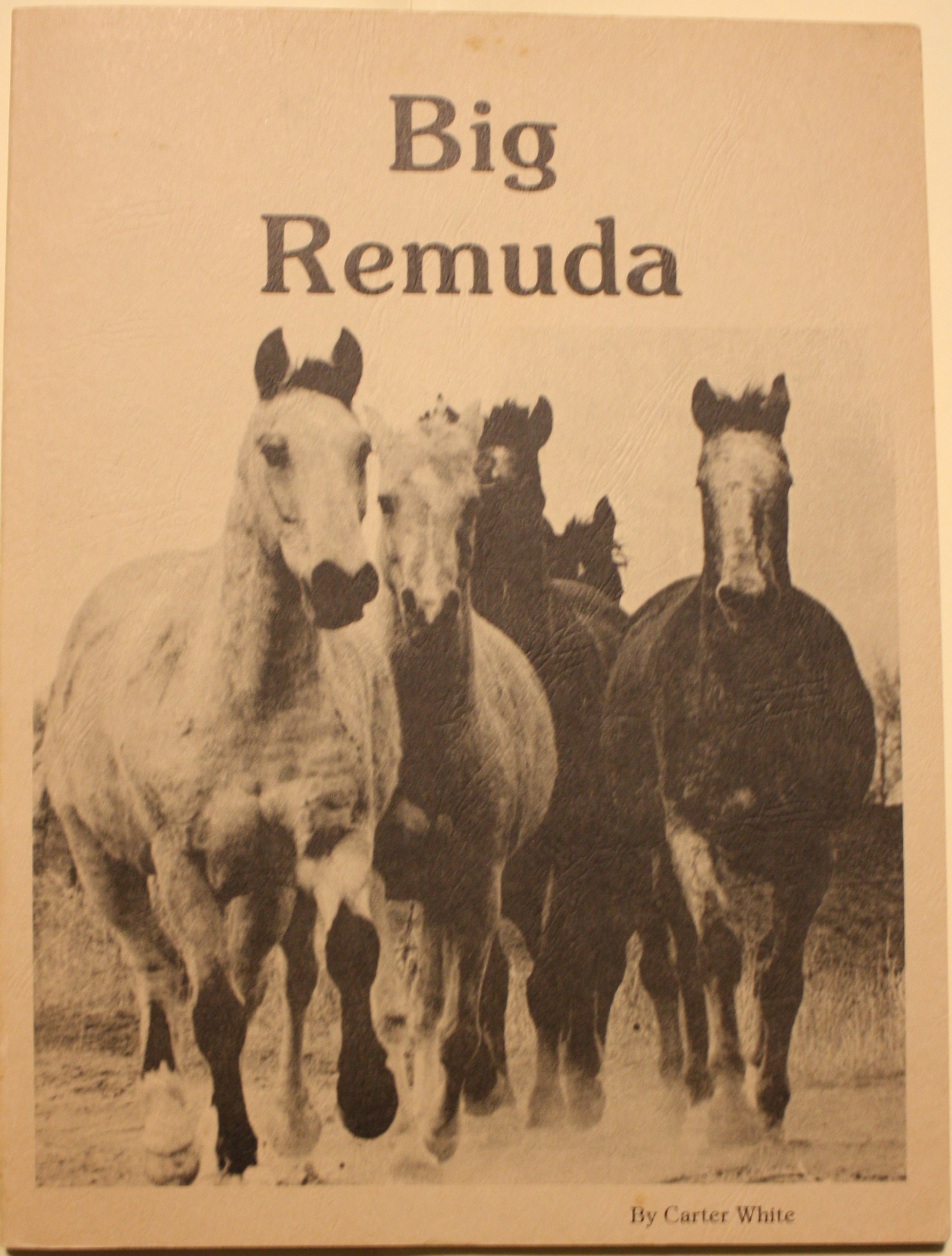 Big Remuda