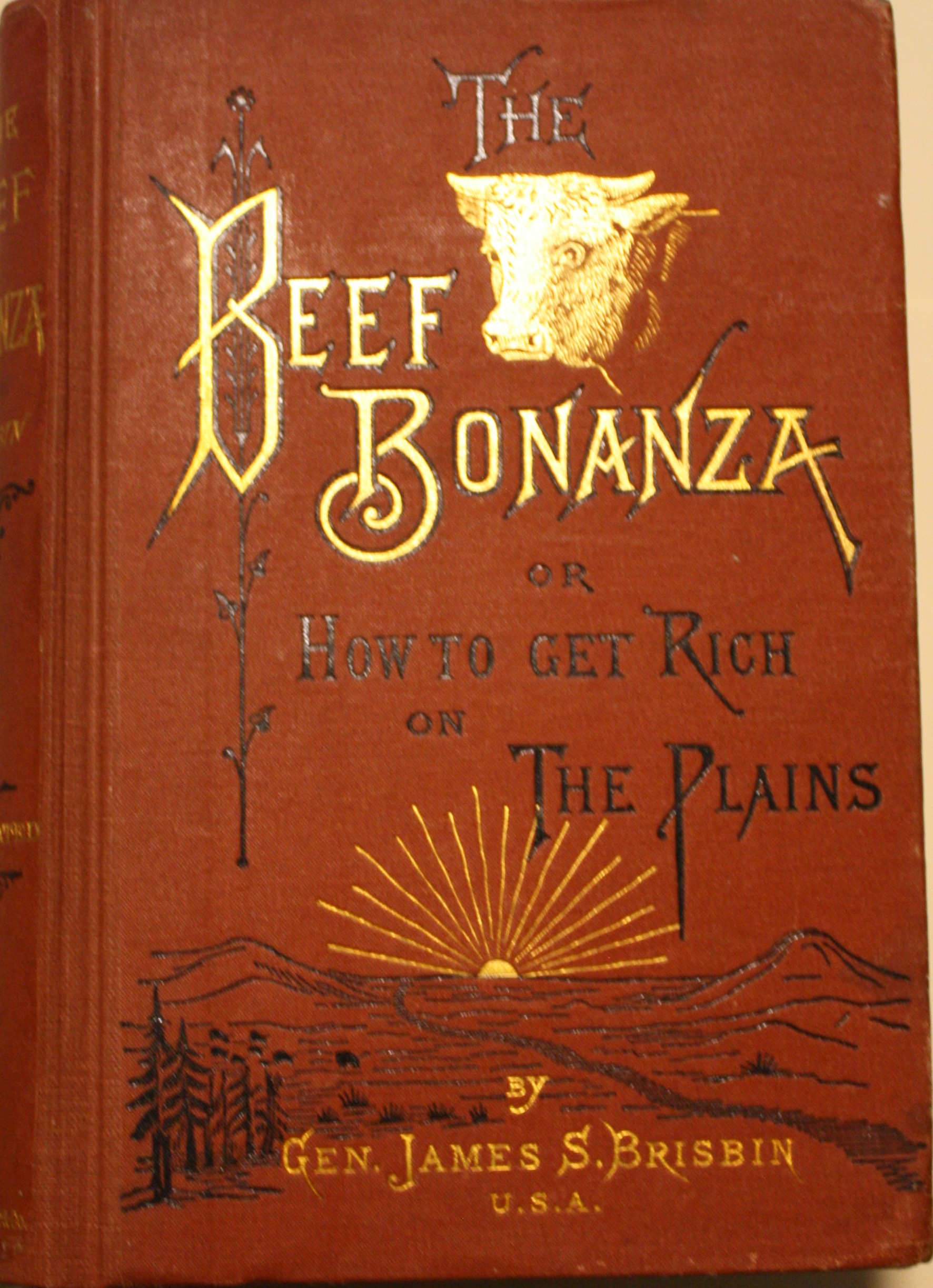 The Beef Bonanza; or, How to Get Rich on the Plains Being a Description of Cattle Growing, Sheep-Farming, Horse-Raising, and Dairying In The West